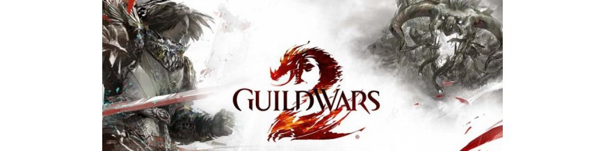 گیـــلد وارز | Guild Wars 